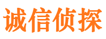 巴塘寻人公司